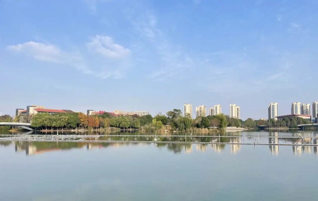 水韵湖城丨南浔一生态修复项目投用