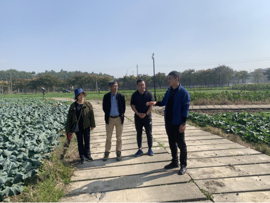 近日,蔬菜联盟首席浙江大学汪炳良教授一行到安吉蔬菜基地指导蔬菜