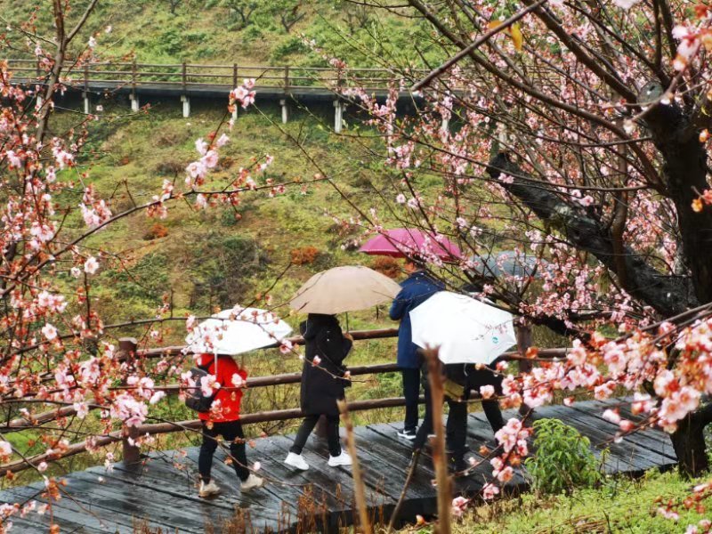 陌上花正盛 女神踏春来——湖州中学工会组织女教职工开展春游踏青