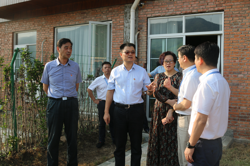 周卫兵在调研和平镇美丽乡村建设时强调 从细节入手高