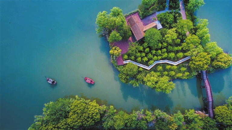 夏日湿地好风光