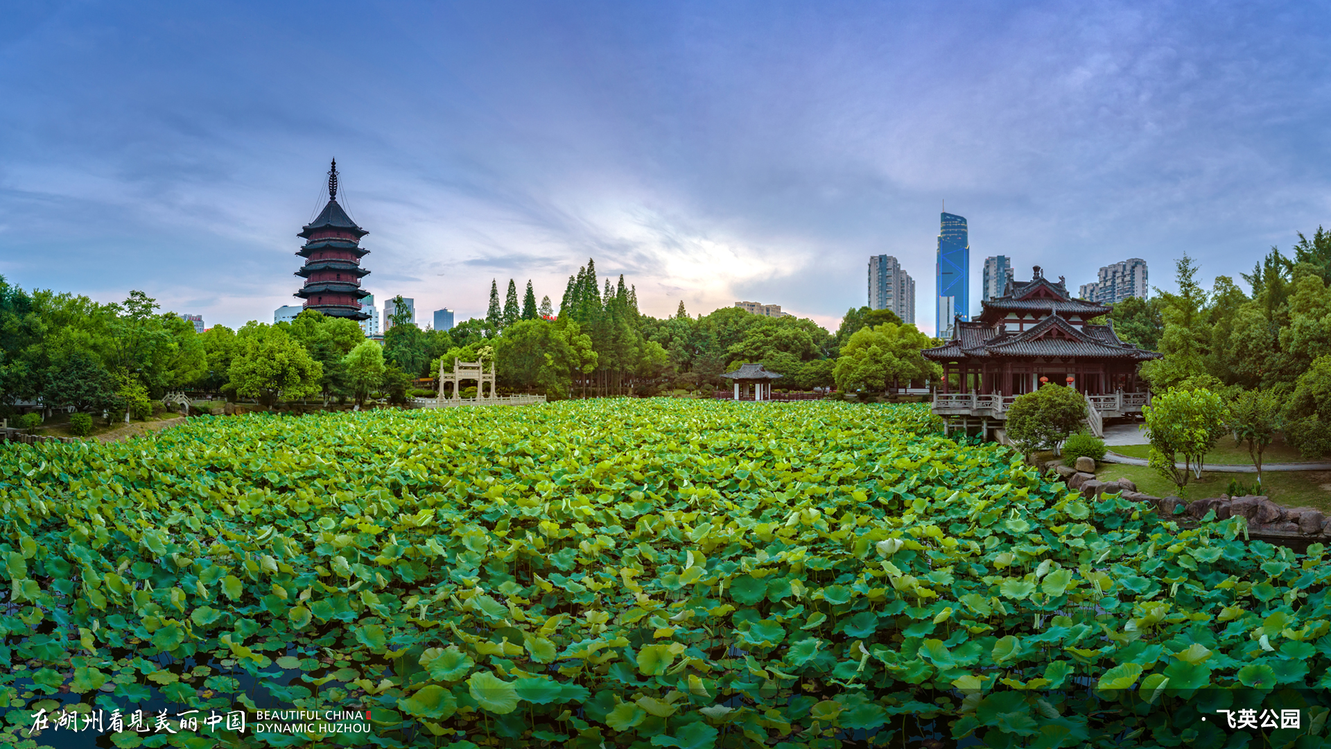 飞英公园简介图片