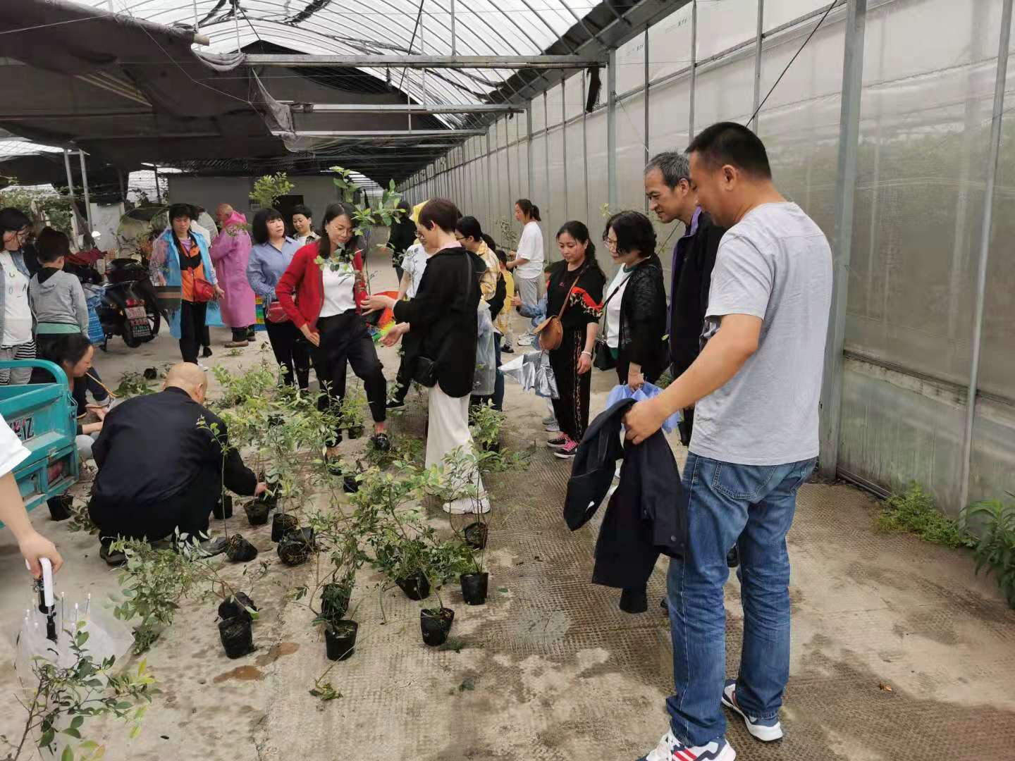 种蓝莓树 尝蓝莓果——德清县乾元成校开展农科教结合项目推广培训