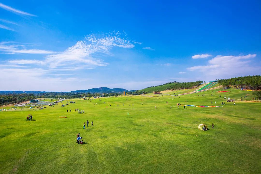 四川南充飞鸿滑草场图片