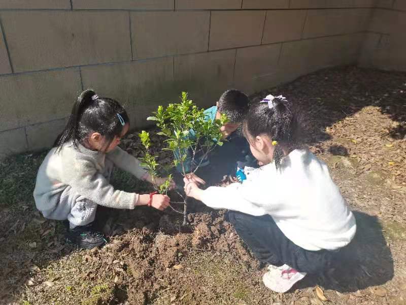 春暖花開綠意萌動德清縣洛舍鎮中心幼兒園植樹節系列活動