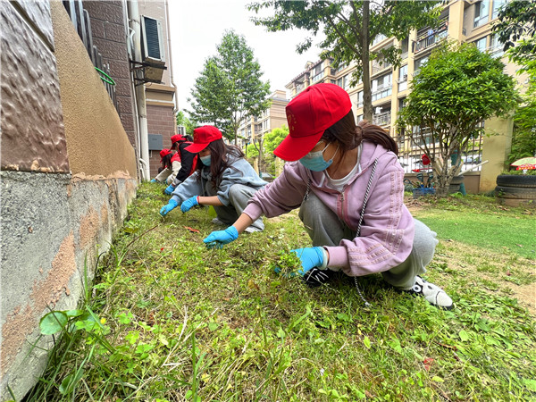 黨員團員拔草護綠美化校園